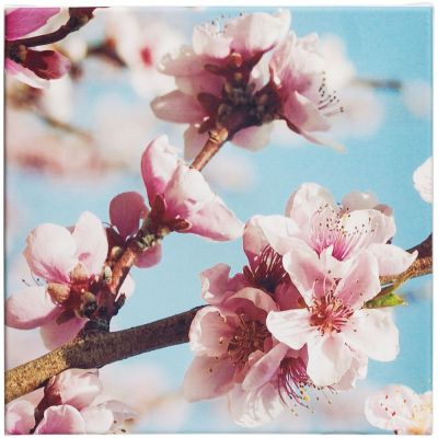 Настенная композиция «Цветение»-1