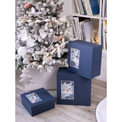 Коробка The Blue Bear, S-3