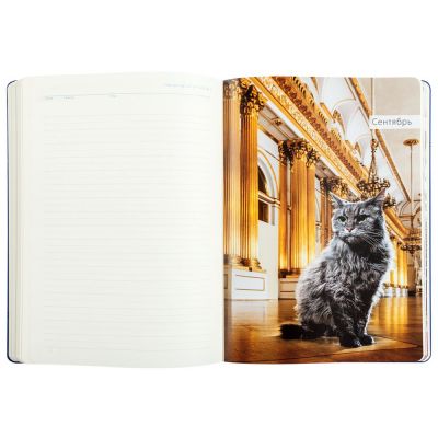 Ежедневник «Эрмитажные коты», синий-11