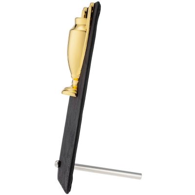 Награда Triumph Gold-3