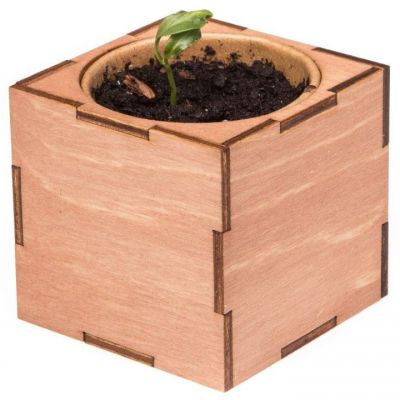 Набор для выращивания «Экокуб Lite», сирень-5