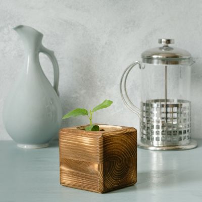 Набор для выращивания с органайзером «Экокуб Burn», акация-3