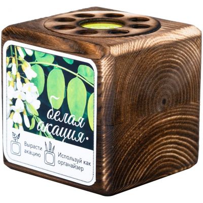 Набор для выращивания с органайзером «Экокуб Burn», акация-0