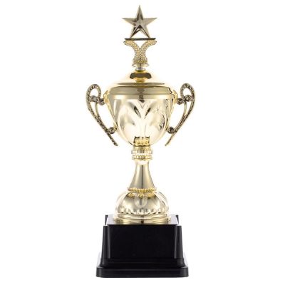 Кубок Top Star, золотистый-0