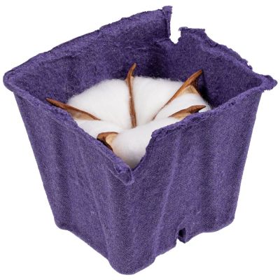 Цветок хлопка Cotton, белый-2