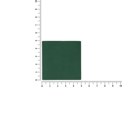 Лейбл Listra Latte, L, зеленый-1