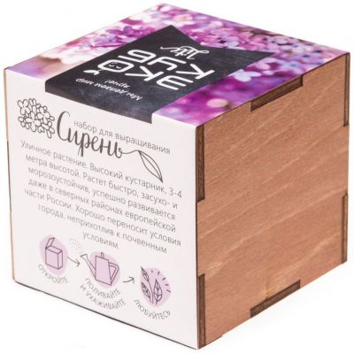 Набор для выращивания «Экокуб Lite», сирень-3