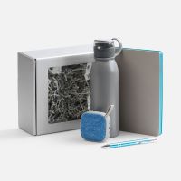 Набор Flexpen Flow, серый с бирюзовым