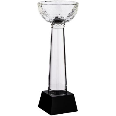 Кубок Cupture, большой-1
