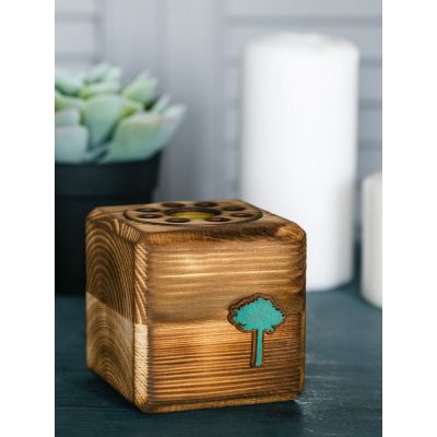 Набор для выращивания с органайзером «Экокуб Burn», сосна-2