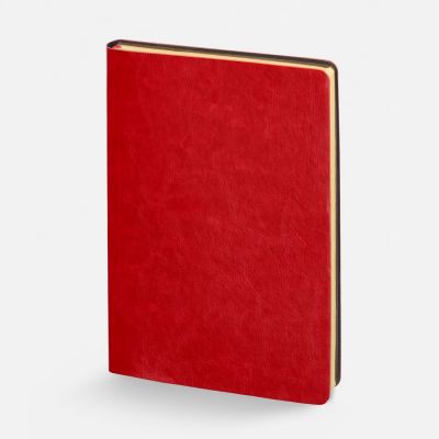 Набор Nebraska Flex, красный с золотистым-2