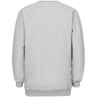 Свитшот «Преодолень», серый меланж-1