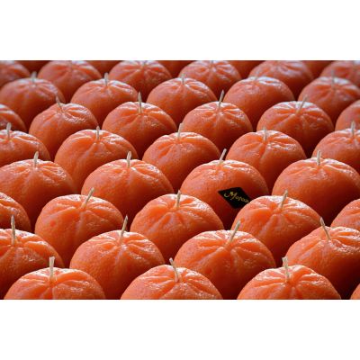 Набор свечей Citrus Box-3