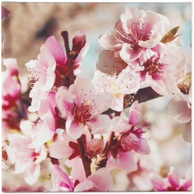 Настенная композиция «Цветение»-2