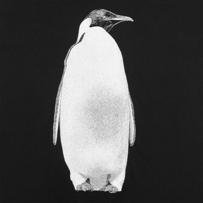 Футболка мужская Like a Penguin, черная-1