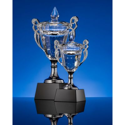 Кубок Victorious, малый-5