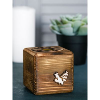 Набор для выращивания с органайзером «Экокуб Burn», акация-2