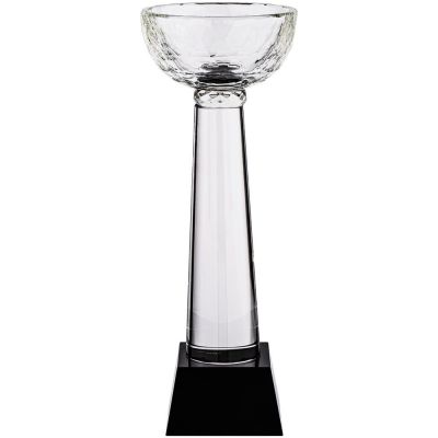 Кубок Cupture, большой-0
