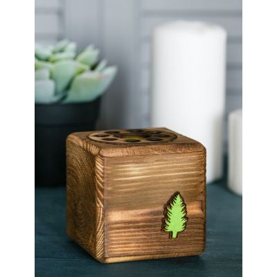 Набор для выращивания с органайзером «Экокуб Burn», лиственница-2