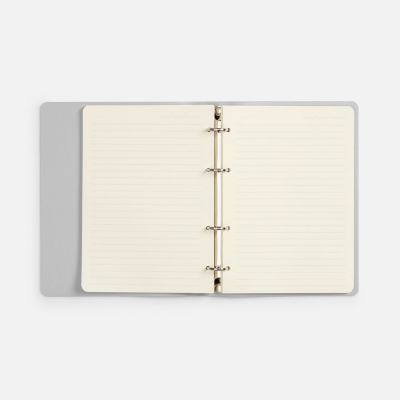 Ежедневник Ringo, недатированный, серебристый-1