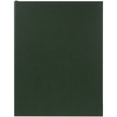 Ежедневник Flat Maxi, недатированный, зеленый-1