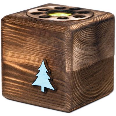 Набор для выращивания с органайзером «Экокуб Burn», ель голубая-1