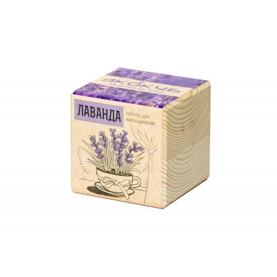 Набор для выращивания «Экокуб», лаванда-2
