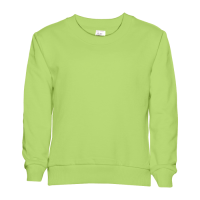 Свитшот детский STAN футер без начёса, 260, 63J Весенний STAN