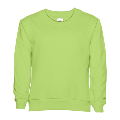 Свитшот детский STAN футер без начёса, 260, 63J Весенний STAN -0