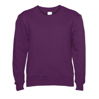 Свитшот детский STAN футер без начёса, 260, 63J Сливовый STAN