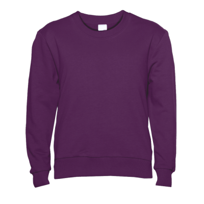 Свитшот детский STAN футер без начёса, 260, 63J Сливовый STAN -0