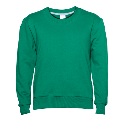 Свитшот детский STAN футер без начёса, 260, 63J Зелёный STAN -0