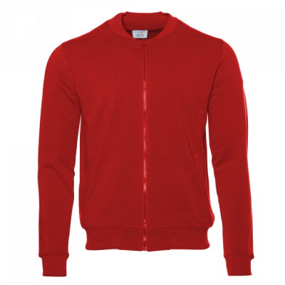 Толстовка унисекс 65N Красный STANCOLOR -0