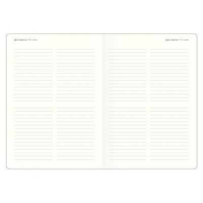 Ежедневник недатированный А5  -6