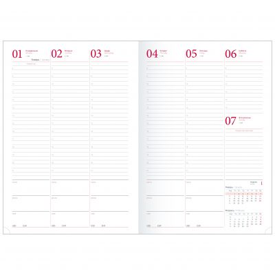 Еженедельник датированный 2024 А4  -10