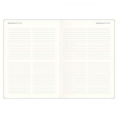 Ежедневник датированный 2024 А5  -14