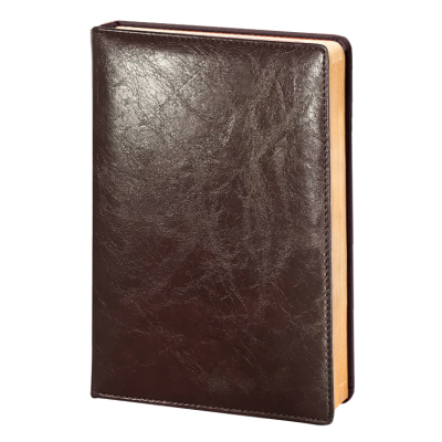 Ежедневник недатированный А5  -0