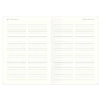 Ежедневник датированный 2026 14х20  -8