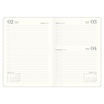 Ежедневник датированный 2026 14х20  -8