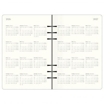 Ежедневник датированный 2026 14х20  -2