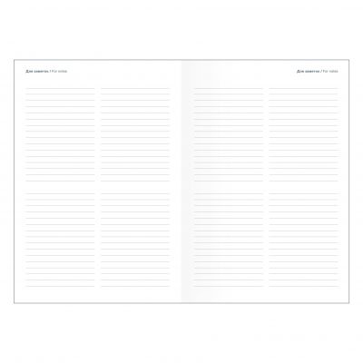 Ежедневник датированный 2024 А5  -11