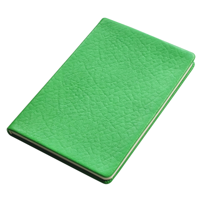 Ежедневник недатированный А5  -1