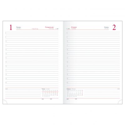 Ежедневник датированный 2024 А6+  -11