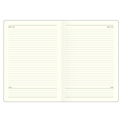 Ежедневник недатированный 14х20  -4