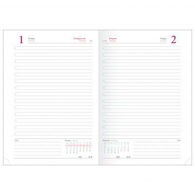 Ежедневник датированный 2024 А5  -11