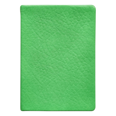 Ежедневник недатированный А5  -8