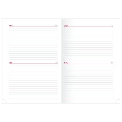 Ежедневник датированный 2024 А5  -12