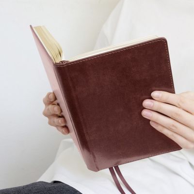 Ежедневник датированный 2026 14х20  -5