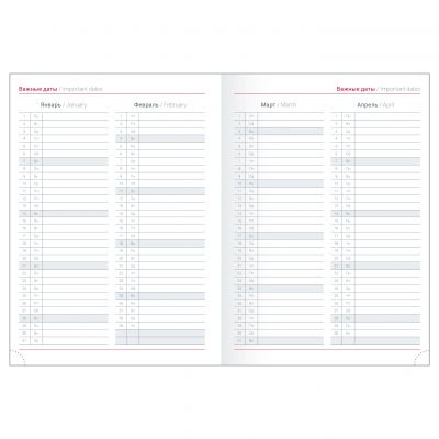 Ежедневник датированный 2024 А6+  -8