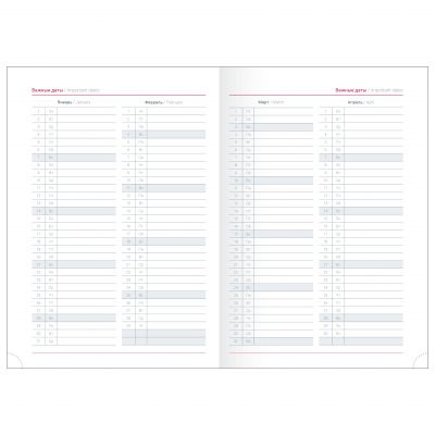 Ежедневник датированный 2024 А5  -8